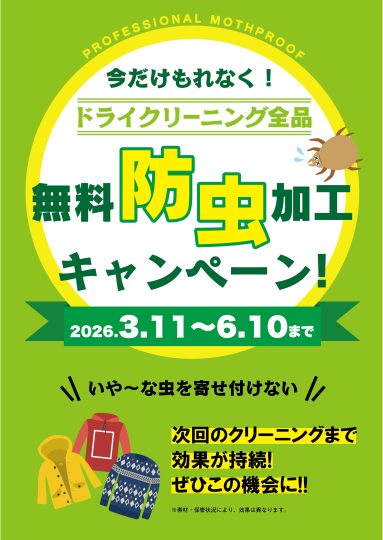 春のキャンペーンについて